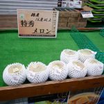 サングリーン旭 メロン　240406 (1 - 1) 1